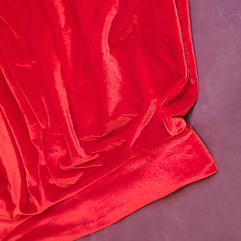 Red Velvet Skirt NWT - Picture 2 of 2